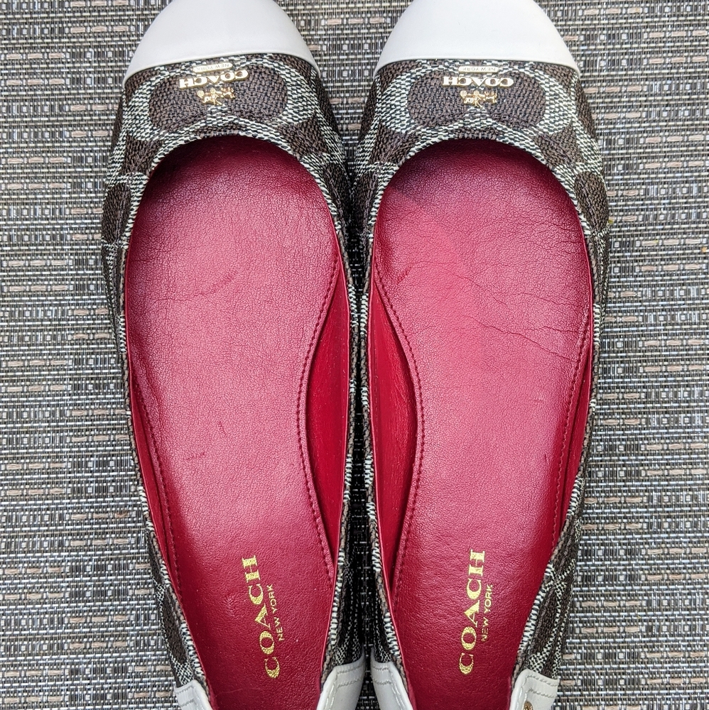 COACH Chelsea brn/blk sig mat calf flat new sz 6.5